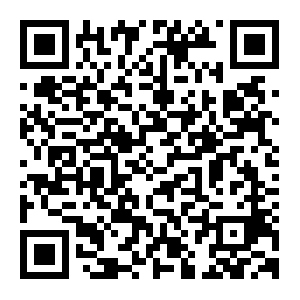 QR: 台胞“申”活①丨阿乐“转型记”