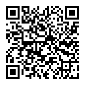 QR: 台胞“申”活⑱丨江碧秀：顽皮家族的守护者