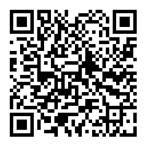 QR: 台胞“申”活⑲丨杨智茹：看不尽展览的新竹女生