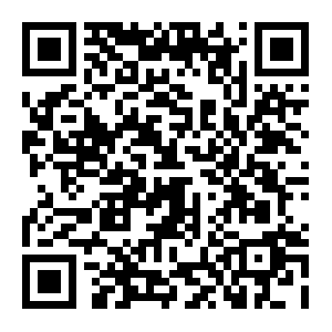 QR: 上海市台协与重庆大渡口区政府座谈