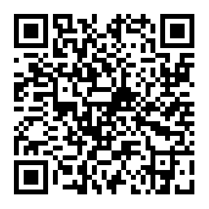 QR: 进博时间丨国台办、市台办领导看望参展台商