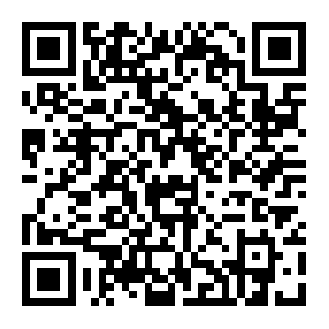 QR: “美丽松江，幸福生活”松江区女台胞、女企业家油画展揭幕
