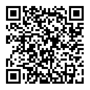 QR: 台湾大学生领袖教化嘉定参访团到上海嘉定参访