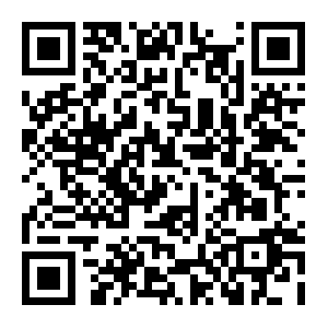 QR: 上海市台协闵行区工委会举行迎接端午暨台胞服务手册发放活动