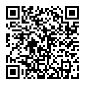QR: “2014两岸少年文化交流营”在沪开营 叶惠德会长出席