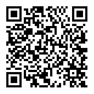 QR: 张志军参访上海麦可将文创园并与台湾青年座谈
