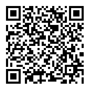 QR: “海上追梦”正式起航！上海市台协在沪台青交流研习营开营