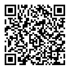 QR: 体验非遗 探寻“魔都”｜在沪台青“海上追梦”交流研习营第二场圆满举办