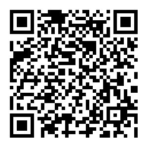 QR: 寻迹金山 玩味渔村｜在沪台青“海上追梦”交流研习营第三场顺利举办