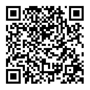 QR: 寻迹海上文化 感受城市魅力｜在沪台青“海上追梦”交流研习营第七场圆满举办