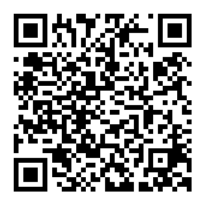 QR: 汲取实践养分 台青梦想种子是时候生根发芽了
