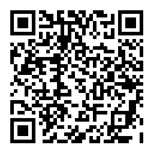 QR: 《上海市优化营商环境条例》