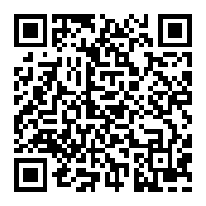 QR: 市台协王跃秘书长出席“世界巧克力梦公园——巧克力奇幻嘉年华”新闻发布会